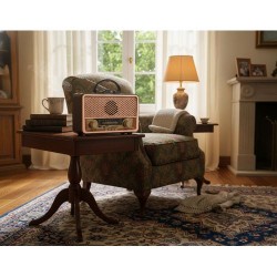 Speaker Bluetooth Radio Rétro Vintage GOLON RX-BT1008
