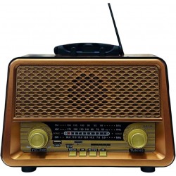 Speaker Bluetooth Radio Rétro Vintage GOLON RX-BT1008